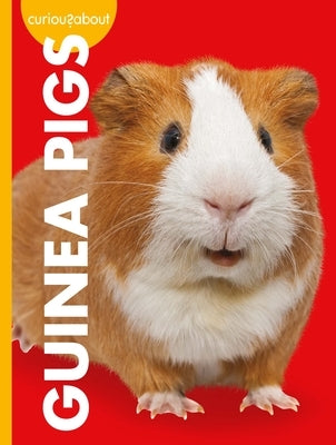 Curious about Guinea Pigs by Thielges, Alissa