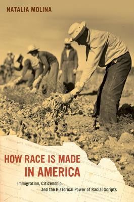 How Race Is Made in America: Immigration, Citizenship, and the Historical Power of Racial Scripts Volume 38 by Molina, Natalia