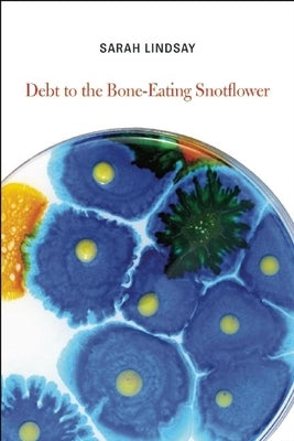 Debt to the Bone-Eating Snotflower by Lindsay, Sarah