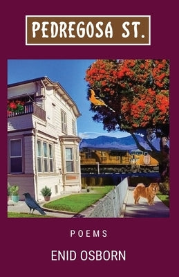 Pedregosa St. by Osborn, Enid