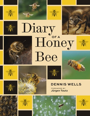 Diary of a Honey Bee by Wells, Dennis