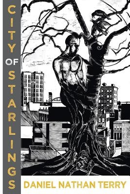City of Starlings by Terry, Daniel Nathan