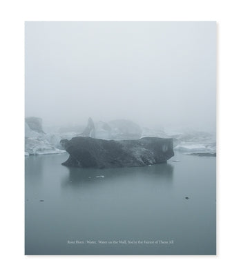 Roni Horn: Water Water on the Wall, You're the Fairest of Them All by Burnett Abrams, Nora