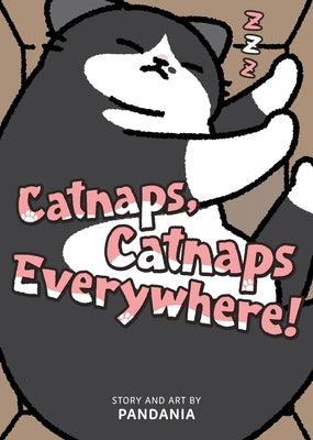 Catnaps, Catnaps Everywhere! by Pandania