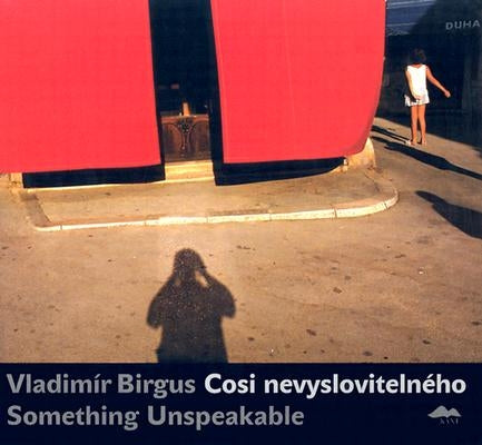 Cosi Nevyslovitelneho/Something Unspeakable by Lubowicz, Elzbieta