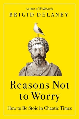 Reasons Not to Worry: How to Be Stoic in Chaotic Times by Delaney, Brigid