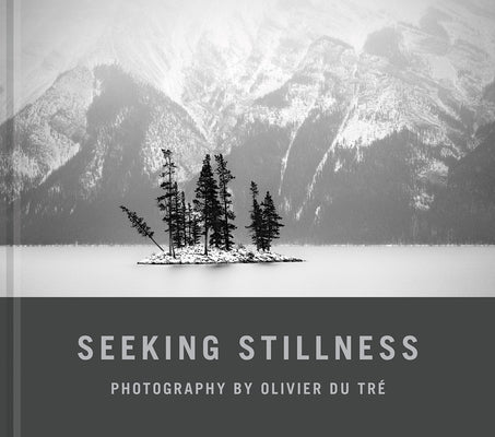 Seeking Stillness by Du Tr&#195;&#169;, Olivier