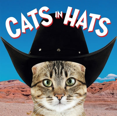 Cats in Hats by Press, Ammonite