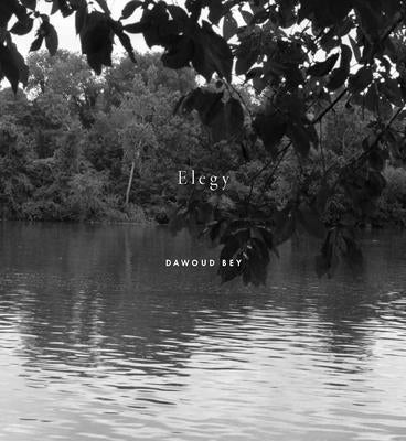 Dawoud Bey: Elegy by Bey, Dawoud