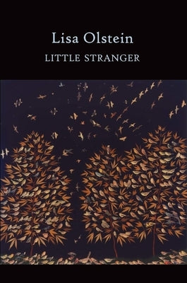 Little Stranger by Olstein, Lisa